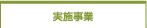 実施事業