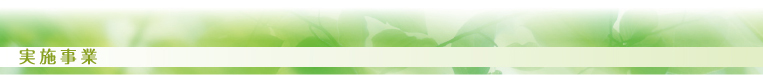 実施事業